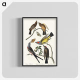 2-34_John-James-Audubon_blk-crop