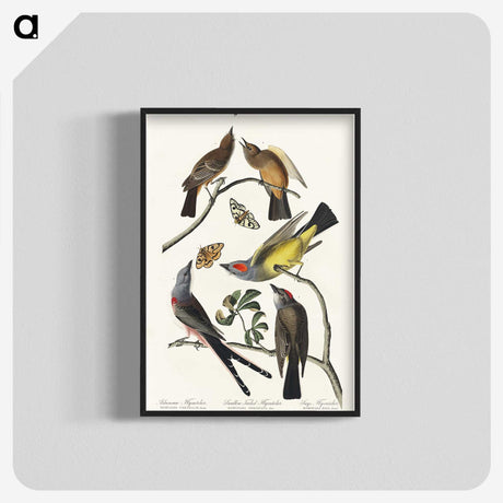 2-34_John-James-Audubon_blk-crop