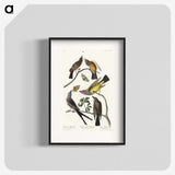 2-34_John-James-Audubon_blk