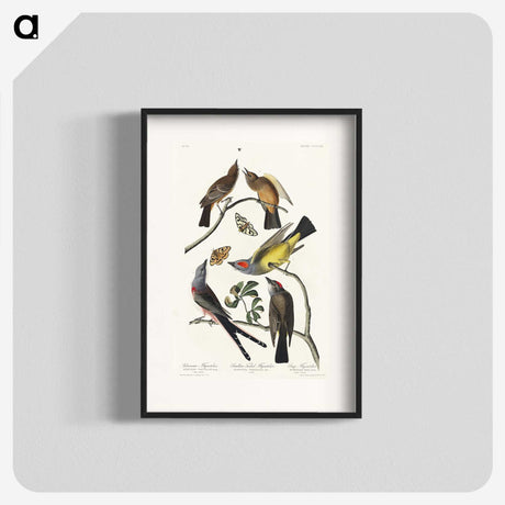 2-34_John-James-Audubon_blk