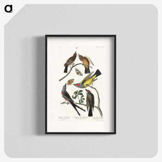 2-34_John-James-Audubon_blk