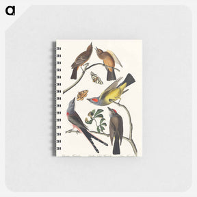 アートメモ帳-Flycatchers of America
 - ジョン ジェームス オーデュボン Memo.