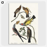 2-34_John-James-Audubon_picture-crop