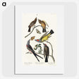 2-34_John-James-Audubon_picture