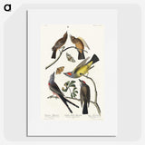 2-34_John-James-Audubon_picture