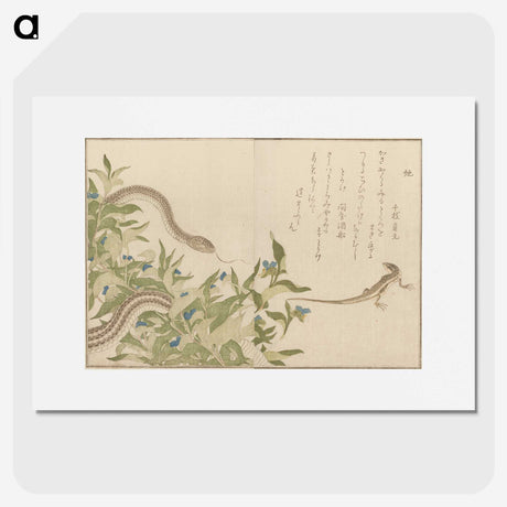 2-34_Kitagawa-Utamaro_picture