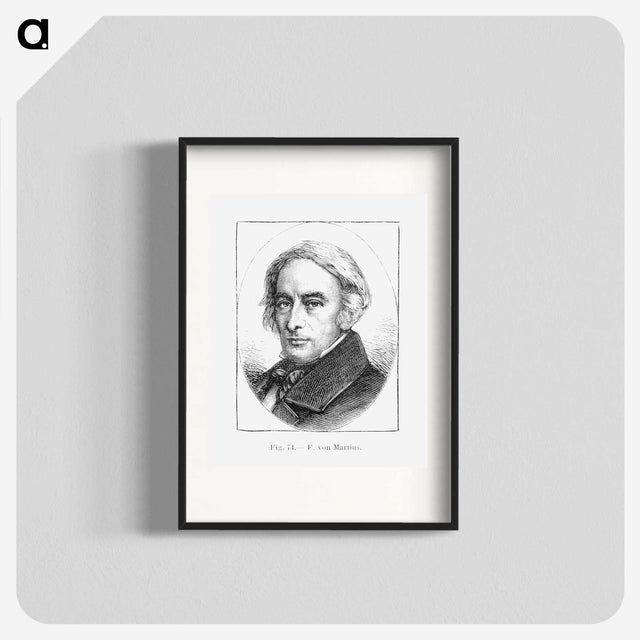 2-34_Les-Palmiers-Histoire-Iconographique_blk