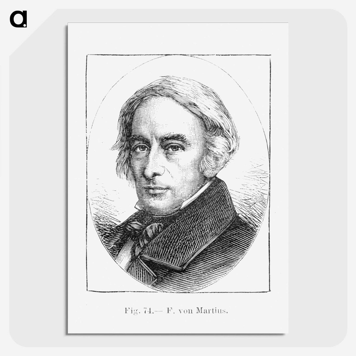 2-34_Les-Palmiers-Histoire-Iconographique_picture-crop
