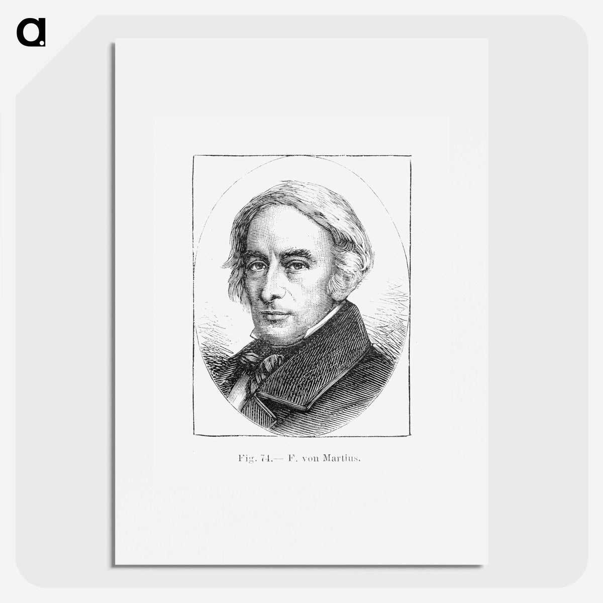 2-34_Les-Palmiers-Histoire-Iconographique_picture