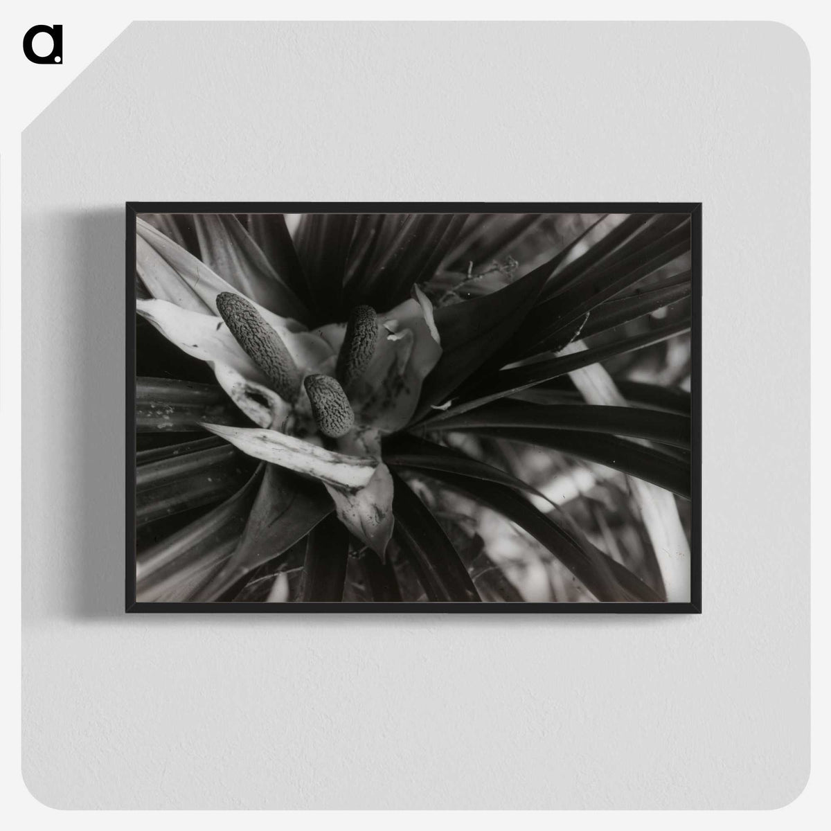 2-34_Leslie-Adkin_blk-crop
