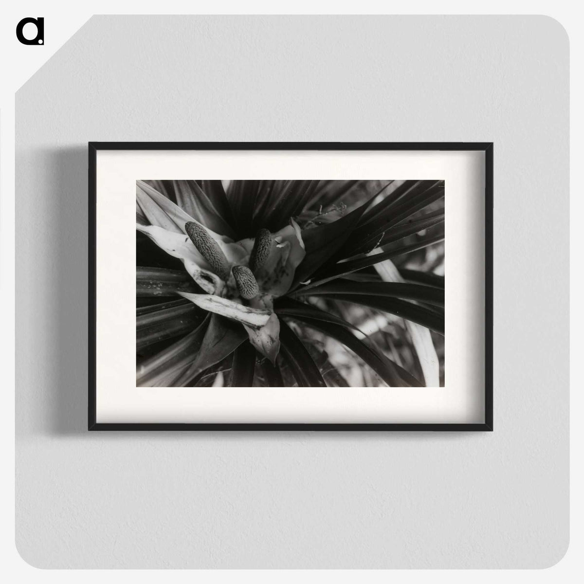 2-34_Leslie-Adkin_blk