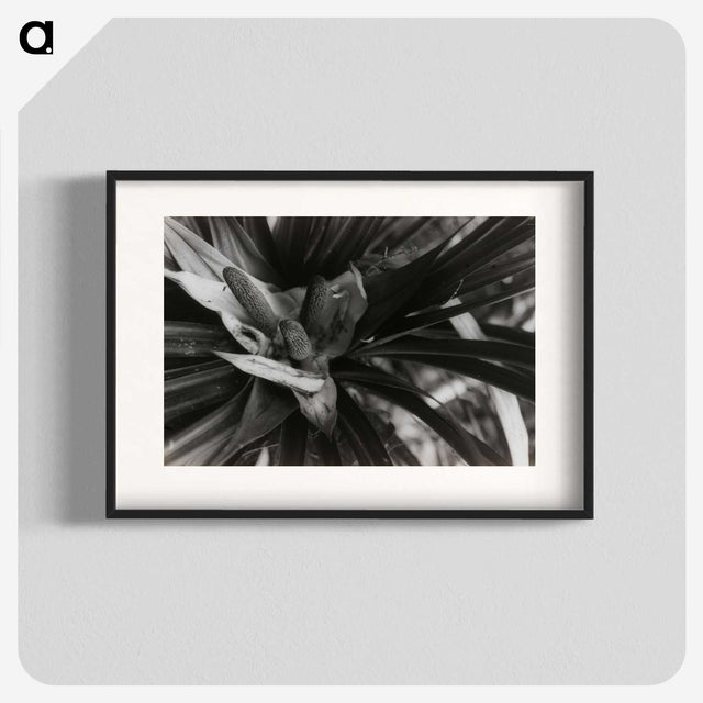 2-34_Leslie-Adkin_blk