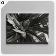 2-34_Leslie-Adkin_canvas