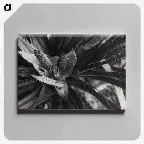 2-34_Leslie-Adkin_canvas