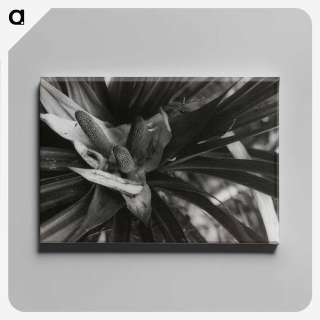 2-34_Leslie-Adkin_canvas