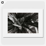 2-34_Leslie-Adkin_picture
