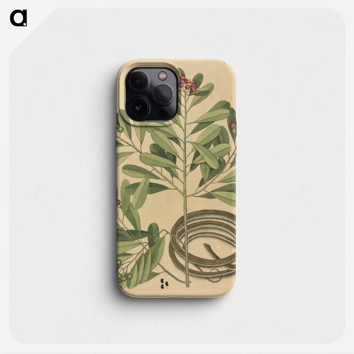 2-34_Mark-Catesby_phone