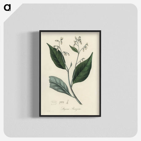 2-34_Medical-Botany_blk-crop
