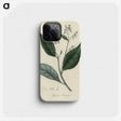 2-34_Medical-Botany_phone