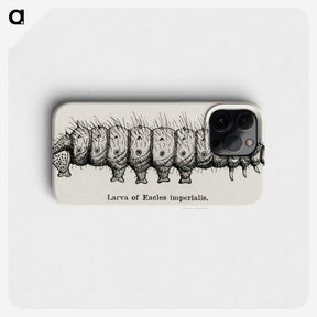 2-34_Moths-and-Butterflies-of-the-United-States_phone