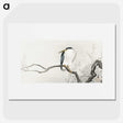 2-34_Ohara-Koson_picture