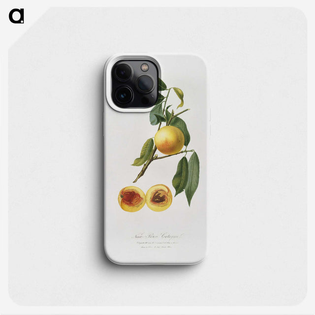 2-34_Pomona-Italiana_phone
