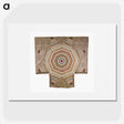 2-34_Saint-Louis-Art-Museum_picture