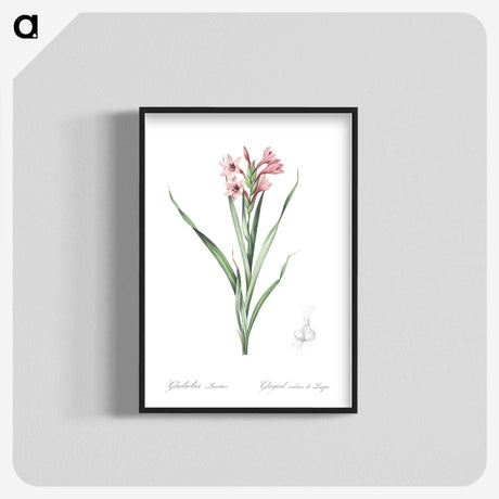 2-34_The-Lilies_blk-crop