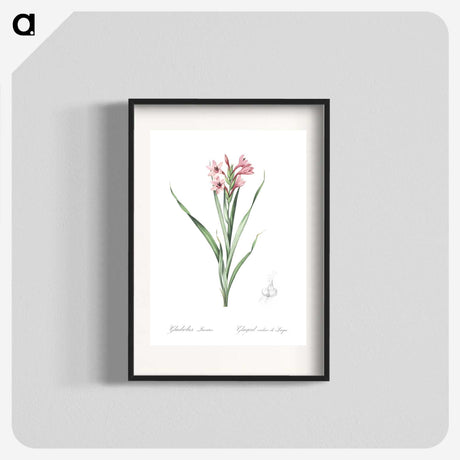 2-34_The-Lilies_blk