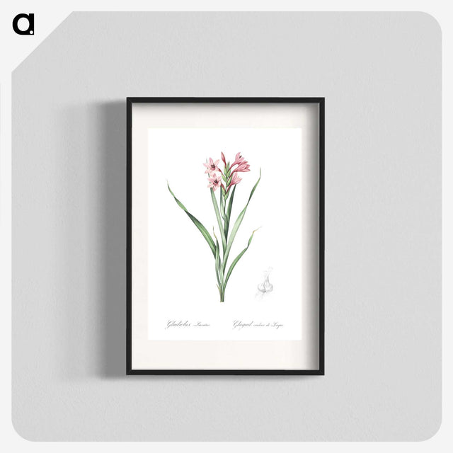 2-34_The-Lilies_blk