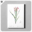 2-34_The-Lilies_canvas