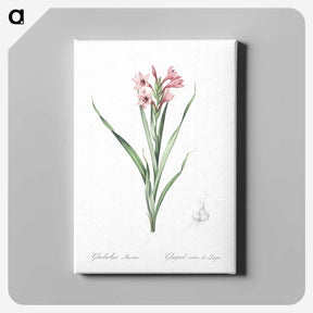 2-34_The-Lilies_canvas
