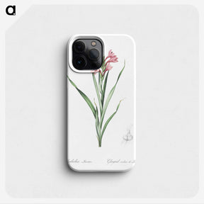 2-34_The-Lilies_phone