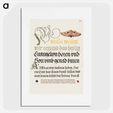 アートポスター-Horntail Caterpillar, Eyed Hawk-Moth, Beetle, Two-Spot Ladybird from Mira Calligraphiae Monumenta
 - 書道のお手本 Poster.