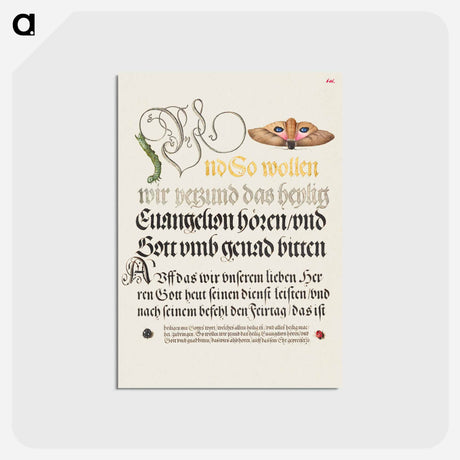 アートポストカード-Horntail Caterpillar, Eyed Hawk-Moth, Beetle, Two-Spot Ladybird from Mira Calligraphiae Monumenta
 - 書道のお手本 Postcard.