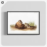2-34_The-Viviparous-Quadrupeds_blk-crop