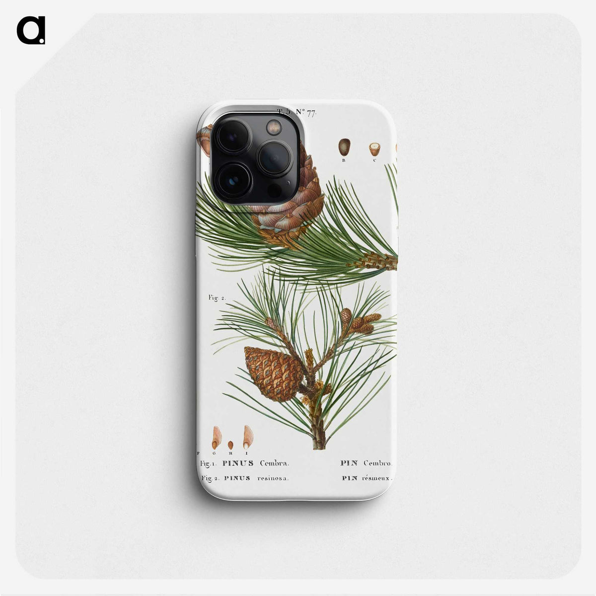 2-34_Treatise-on-Trees-and-Shrubs_phone