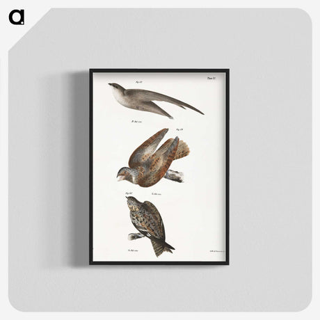 2-34_Zoology-of-New-York_blk-crop