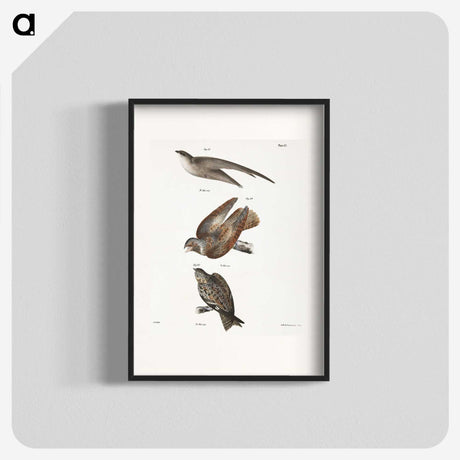 2-34_Zoology-of-New-York_blk