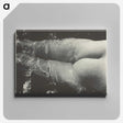 2-35_Alfred-Stieglitz_canvas