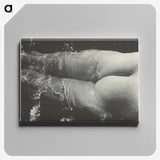 2-35_Alfred-Stieglitz_canvas