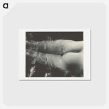 アートポストカード-Rebecca Salsbury Strand - アルフレッド スティーグリッツ Postcard.