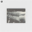 2-35_Alfred-Stieglitz_memo
