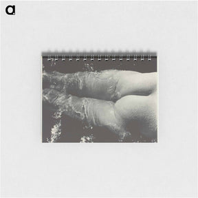 アートメモ帳-Rebecca Salsbury Strand - アルフレッド スティーグリッツ Memo.