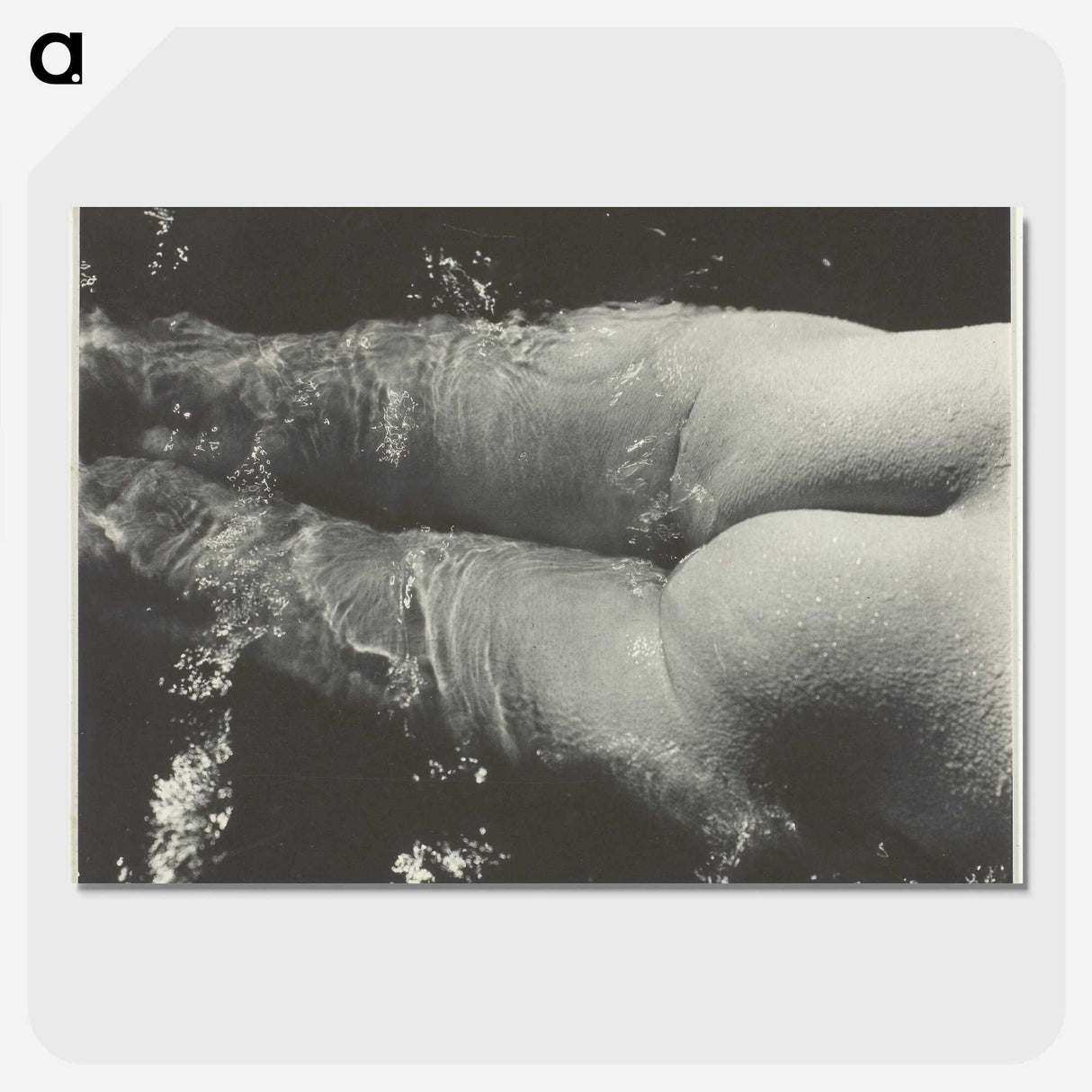 2-35_Alfred-Stieglitz_picture-crop
