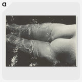 2-35_Alfred-Stieglitz_picture-crop