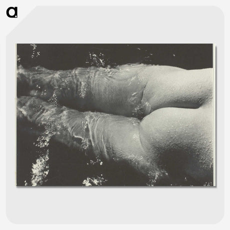 2-35_Alfred-Stieglitz_picture-crop