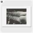 2-35_Alfred-Stieglitz_picture