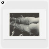 2-35_Alfred-Stieglitz_picture