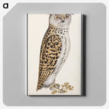 2-35_Anselmus-Boetius-de-Boodt_canvas